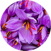 Fiori di zafferano - Matis Paris
